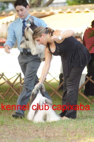 Clique sobre a foto para fechar